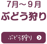 7月~9月ぶどう狩り