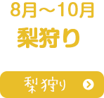 8月~10月梨狩り