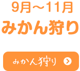 9月~11月みかん狩り