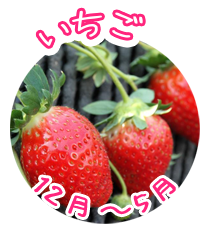 いちご